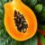 Papaina w kosmetykach: działanie, właściwości i zastosowanie