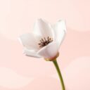 Skąpa miesiączka: przyczyny, objawy i różnice z plamieniem