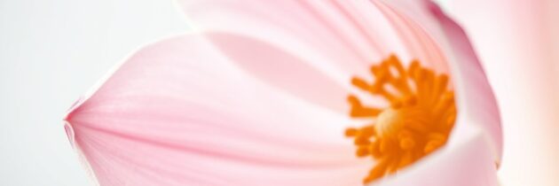 Peelingi dla cery naczynkowej: jak bezpiecznie złuszczać i unikać podrażnień